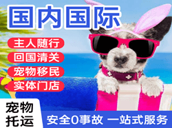 阳江合山空运代理国际宠物托运 【国